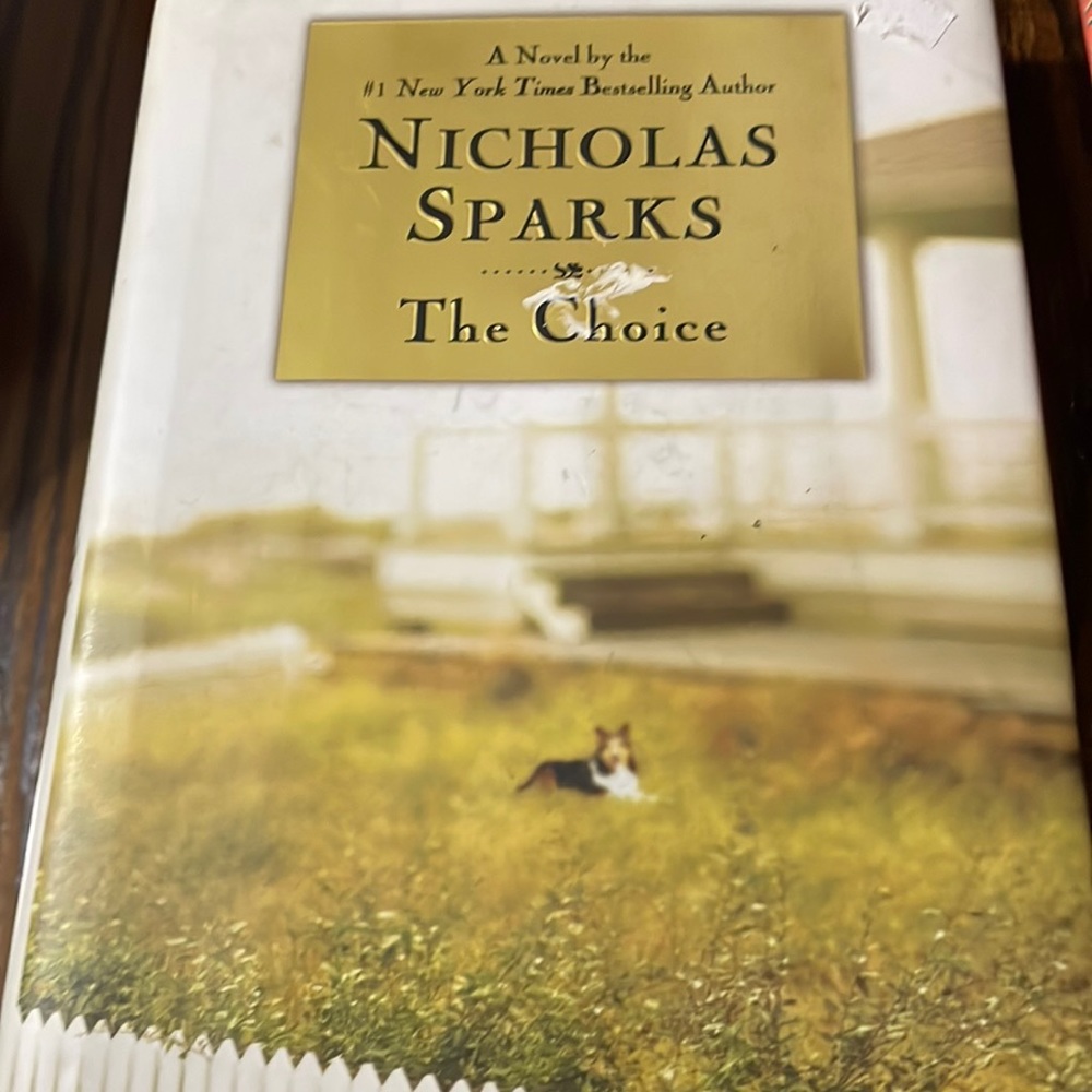 Book by Nicholas Sparks.  The choice